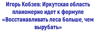 Игорь Кобзев: Иркутская область планомерно идет к формуле «Восстанавливать леса больше, чем вырубать» 